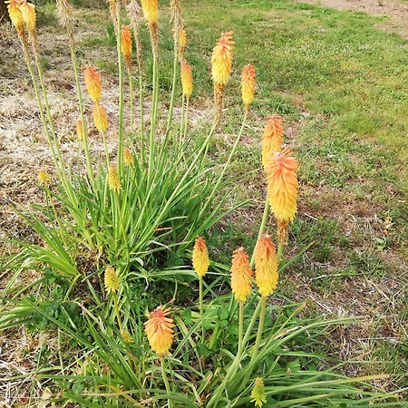 Σπίτι διακοπών 