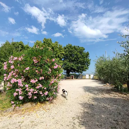 Dimora Quercia - Quercia Casa vacanze Montefalco