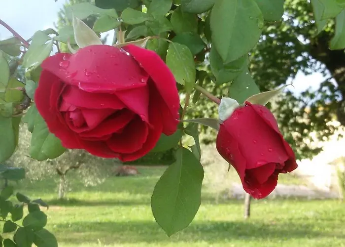 Dimora Quercia - Quercia * Montefalco