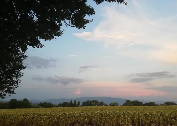 Casa vacanze Dimora Quercia - Quercia