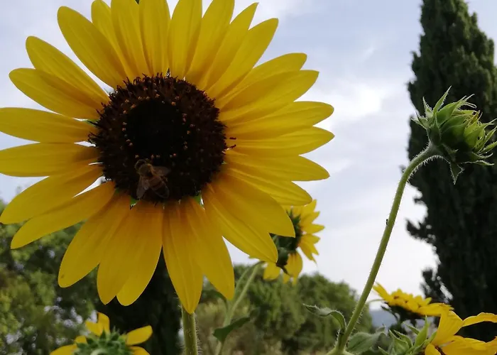 Dimora Quercia - Quercia Montefalco