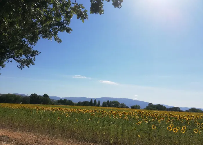 Dimora Quercia - Quercia