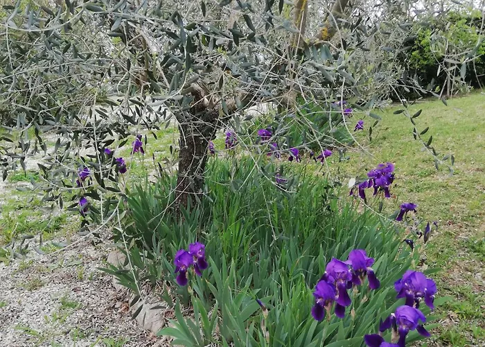 Dimora Quercia - Quercia Casa vacanze *