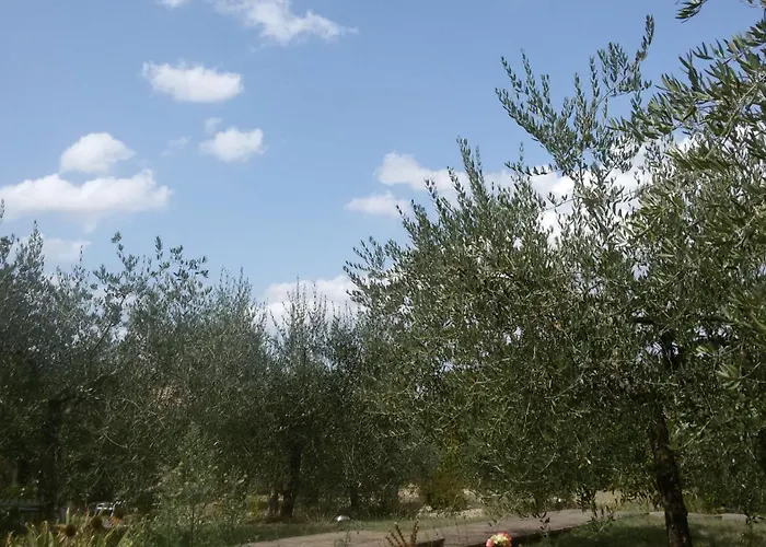 Dimora Quercia - Quercia