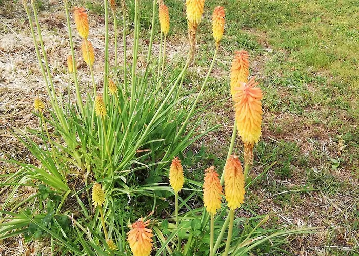 Casa vacanze Dimora Quercia - Quercia Montefalco