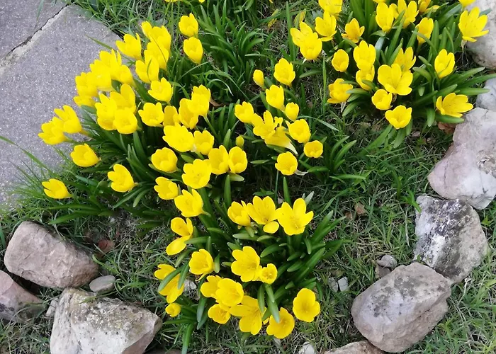 Dimora Quercia - Quercia Casa vacanze