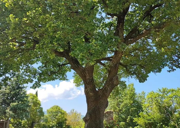Dimora Quercia - Quercia Montefalco