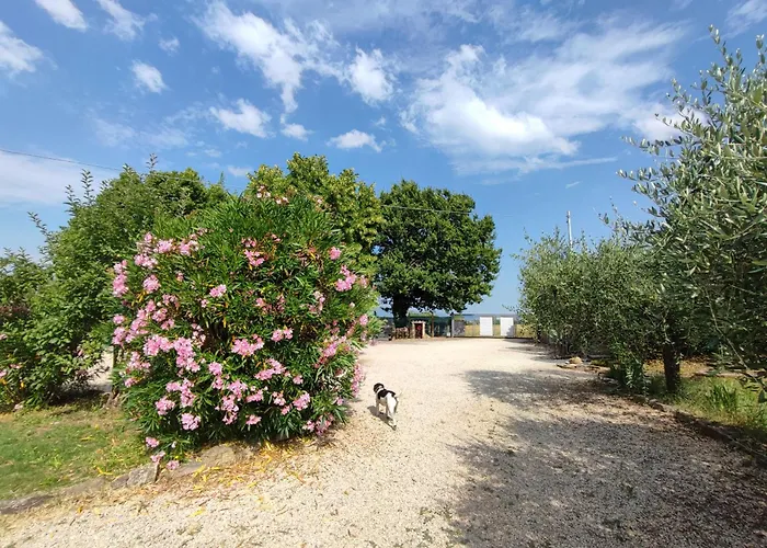 Dimora Quercia - Quercia Casa vacanze Montefalco
